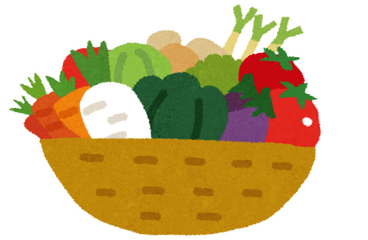 野菜タイピング